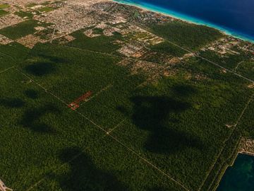 Terreno Turístico Ecológico Hotelero de 4.93 Ha en La Selva Natural de Playa del Carmen