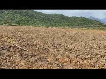 Venta Terreno agrícola chulucanas piura