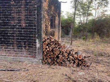 Venta Terreno agrícola chulucanas piura