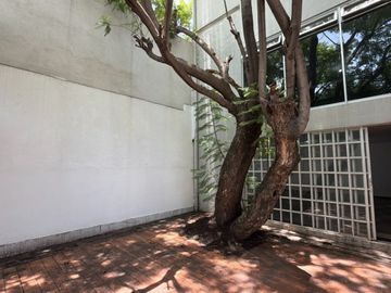 LOCAL COMERCIAL EN RENTA | COLONIA LA PAZ, PUEBLA