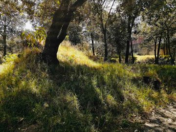 TERRENO EN VENTA – EXCELENTE OPORTUNIDAD PARA DESARROLLO HABITACIONAL
