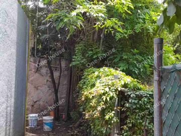 RENTA DE CASA EN LAS ARBOLEDAS