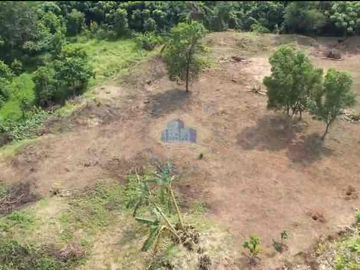 Jual Tanah Zona Komersial Di Bunder Cikupa Tangerang Banten