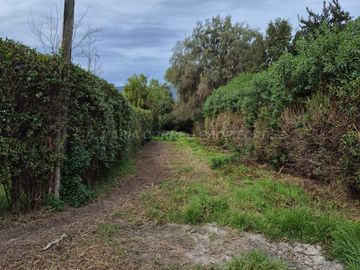 Exclusiva Parcela con 3 Casas, Piscina y Amplias Áreas Verdes en La Cruz – 5.060 m² de Terreno