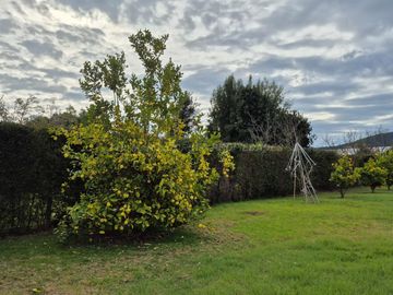 Exclusiva Parcela con 3 Casas, Piscina y Amplias Áreas Verdes en La Cruz – 5.060 m² de Terreno