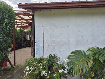 Exclusiva Parcela con 3 Casas, Piscina y Amplias Áreas Verdes en La Cruz – 5.060 m² de Terreno