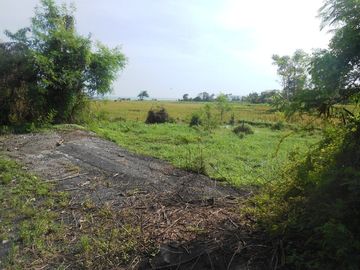 Tanah Murah Di Pinggir jalan Utama Sampai Los Pantai di Gianyar