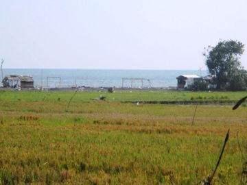 Tanah Murah Di Pinggir jalan Utama Sampai Los Pantai di Gianyar
