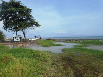 Tanah Murah Di Pinggir jalan Utama Sampai Los Pantai di Gianyar