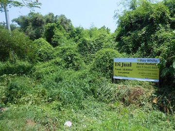 Tanah Murah Di Pinggir jalan Utama Sampai Los Pantai di Gianyar