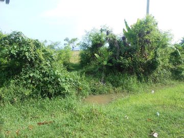 Tanah Murah Di Pinggir jalan Utama Sampai Los Pantai di Gianyar