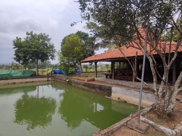 Tanah Seluas 4064 Meter Persegi Cocok Untuk Usaha di Purworejo.