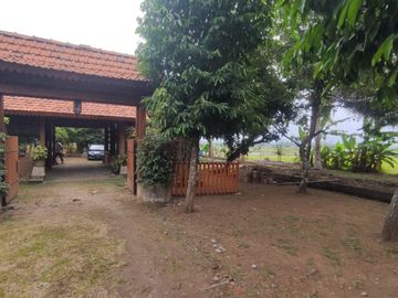 Tanah Seluas 4064 Meter Persegi Cocok Untuk Usaha di Purworejo.