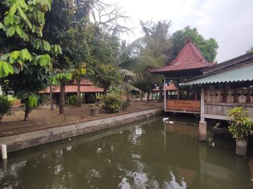 Tanah Seluas 4064 Meter Persegi Cocok Untuk Usaha di Purworejo.