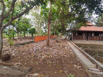 Tanah Seluas 4064 Meter Persegi Cocok Untuk Usaha di Purworejo.