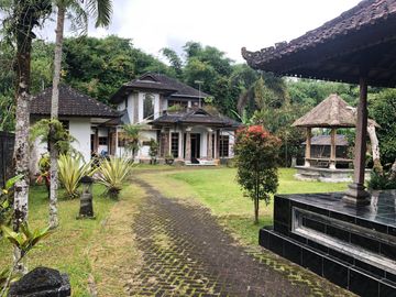 Hidden Gem di Kintamani – Luas, Nyaman & Penuh Potensi