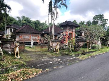 Hidden Gem di Kintamani – Luas, Nyaman & Penuh Potensi