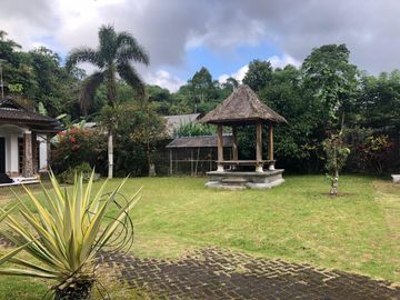Hidden Gem di Kintamani – Luas, Nyaman & Penuh Potensi
