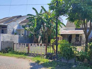 4jt/meter‼️Dijual Tanah Gununganyar emas