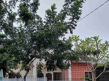 Rumah HOOK Dekat UNDIP dan Pusat KULINER Mulawarman RAYA