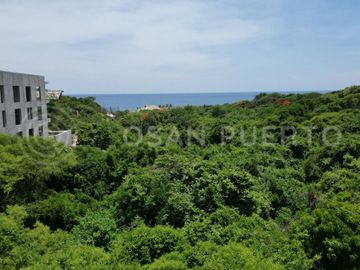 Se Vende Tres Lotes Residenciales en Barra de Colotepec – Excelente Oportunidad de Inversión Cerca del Mar