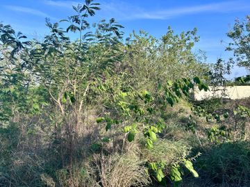 Terreno en venta en San Juan Bautista en Mérida Yucatán