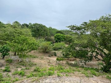 Finca en venta de 3 hectáreas en Santa Rosa Norte, Bolívar | Ideal para Ganadería, Cultivos o Proyecto Agropecuario