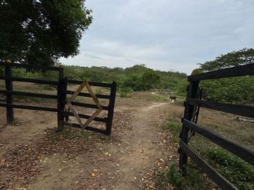 Finca en venta de 3 hectáreas en Santa Rosa Norte, Bolívar | Ideal para Ganadería, Cultivos o Proyecto Agropecuario
