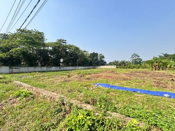 Miliki Tanah Murah Cisauk Dekat Hiera BSD - SHM - 10 Menit Tol Legok