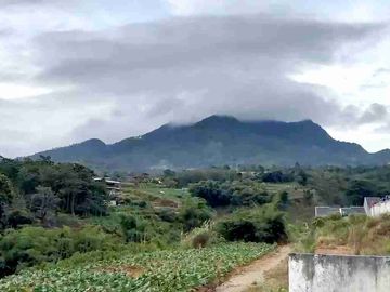 LAHAN KAVLING CIBIRU WETAN, KEC CILEUNYI, KAB BANDUNG, JAWA BARAT