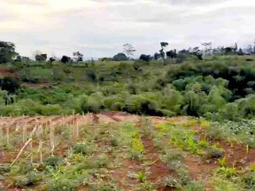 LAHAN KAVLING CIBIRU WETAN, KEC CILEUNYI, KAB BANDUNG, JAWA BARAT