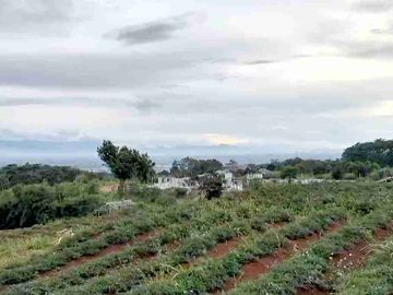 LAHAN KAVLING CIBIRU WETAN, KEC CILEUNYI, KAB BANDUNG, JAWA BARAT