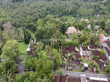 DIJUAL TANAH SELUAS 37ARE DI SAYAN