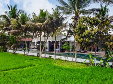 DISEWAKAN JANGKA PANJANG VILLA DENGAN 3 KAMAR TIDUR DI SAYAN