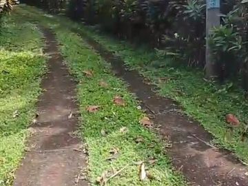 DIJUAL: Tanah Premium 2 Hektar Zona Kuning di Lalang Linggah, Selemadeg Barat – Tabanan