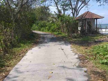 DIJUAL CEPAT TANAH KOSONG DI MENDOYO JEMBRANA BALI
