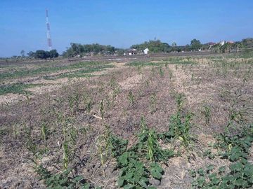 DIJUAL TANAH KEDAMAIAN MENGANTI GRESIK RON.A3305