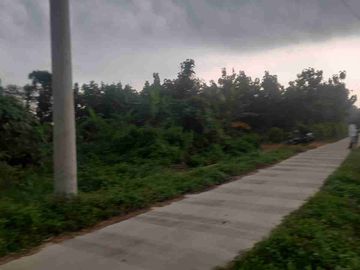 Dijual Tanah 10.000 m2 untuk Ternak ayam