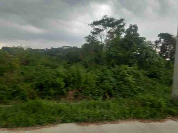 Dijual Tanah 10.000 m2 untuk Ternak ayam