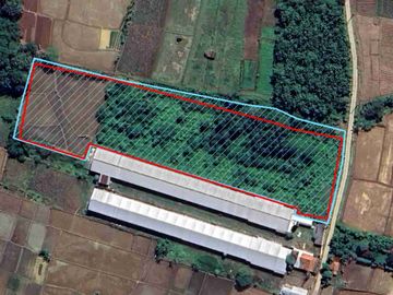 Dijual Tanah 10.000 m2 untuk Ternak ayam