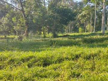 Tanah Pekarangan Luas 6000 Meter Persegi Lokasi Dekat Merapi Golf - Cangkringan Sleman