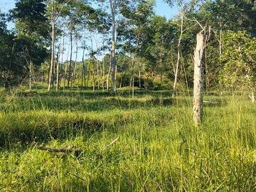 Tanah Pekarangan Luas 6000 Meter Persegi Lokasi Dekat Merapi Golf - Cangkringan Sleman