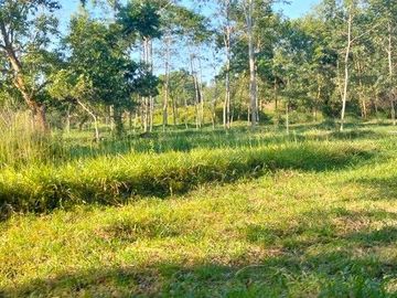 Tanah Pekarangan Luas 6000 Meter Persegi Lokasi Dekat Merapi Golf - Cangkringan Sleman