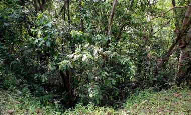 Vacant Lot For Sale in Park Ridge Estate, Antipolo Rizal