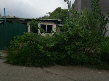 56 sqm Residential/Commercial Lot for Sale in Dalig Teresa Rizal