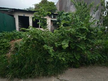 56 sqm Residential/Commercial Lot for Sale in Dalig Teresa Rizal