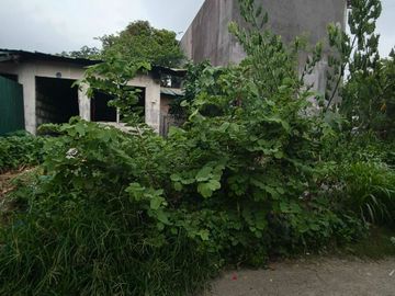 56 sqm Residential/Commercial Lot for Sale in Dalig Teresa Rizal