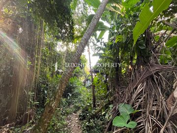 DISEWAKAN JANGKA PANJANG TANAH SELUAS 30,7 ARE DI SAYAN, UBUD