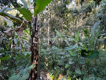 DISEWAKAN JANGKA PANJANG TANAH SELUAS 30,7 ARE DI SAYAN, UBUD
