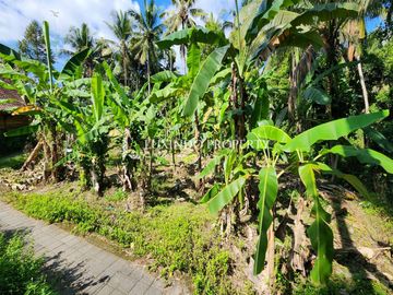 DIJUAL TANAH SELUAS 12 ARE DI UBUD